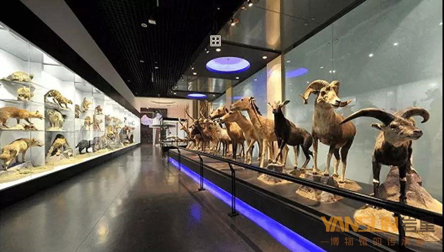 博物館展館設計方案:感受色彩對比的方法和變化的規律插圖(2) 博物館展館設計方案:感受色彩對比的方法和變化的規律插圖(2)