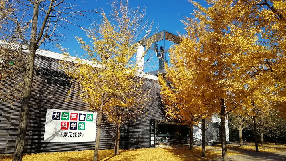 一周一館 | “索尼探夢”科技館插圖