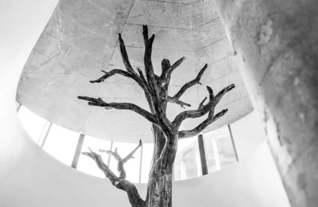 隈研吾設(shè)計(jì)安徒生博物館開(kāi)幕，重新演繹丹麥童話插圖(30)